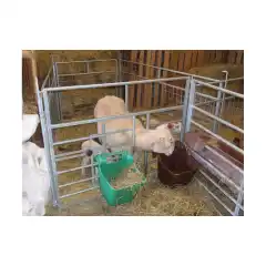 <span style="color:#000000;"><strong><span style="background-color:#f1c40f;">GULLS&Oslash;YA</span></strong></span> - grind for adopsjon eller lammegj&oslash;mme